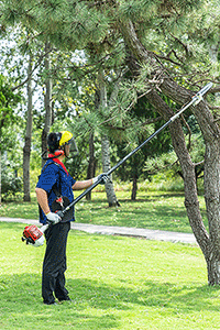 1756967379710441.png 圖片4.png